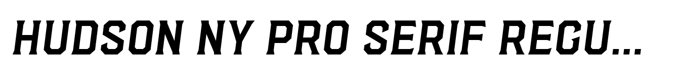 Hudson NY Pro Serif Regular Itl